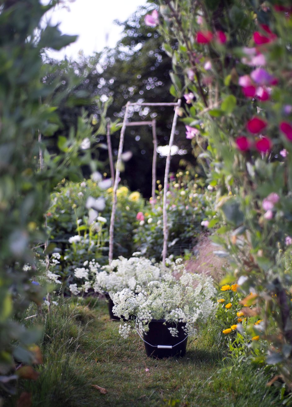 SWNS_ALLOTMENT_WEDDING_002.jpg