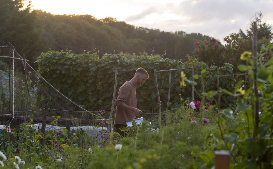 SWNS_ALLOTMENT_WEDDING_014.jpg