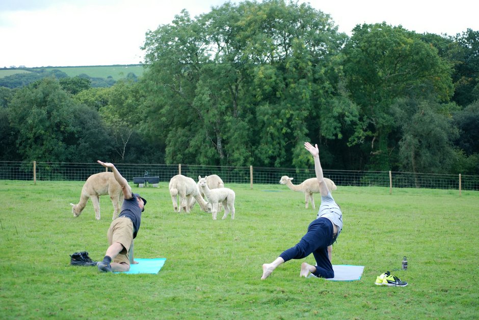 SWNS_ALPACA_YOGA_06.jpg