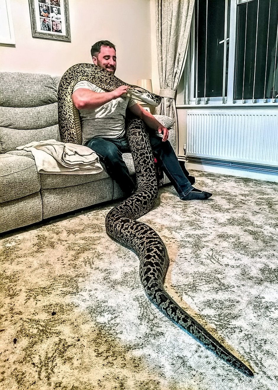 SWNS_MASSIVE_SNAKE_01.jpg