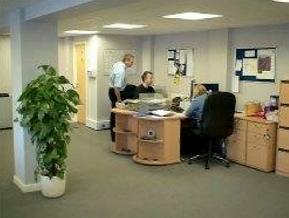 SWNS_OFFICE_PLANT_02_lee8Mch.jpg