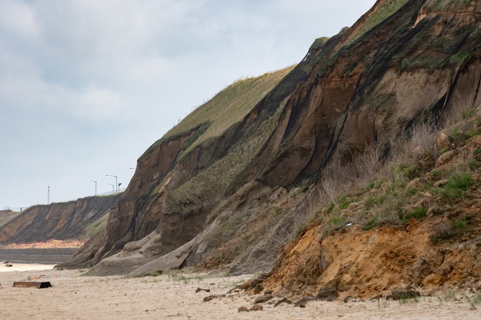 SWNS_SANDMARTINS_NESTING_029.jpg